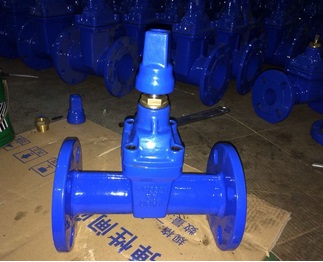 Ductile Iron DIN3352 F5 Gate Valve DN80 USD35/pcs