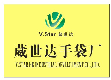 V.star(HK) Industrial Development Co.,Ltd