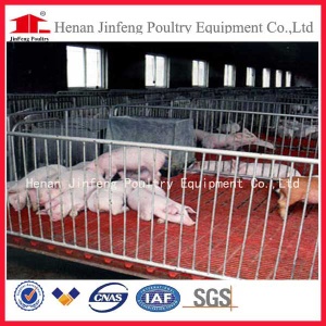 2013 HOT Selling piglets crate