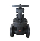 gate valve